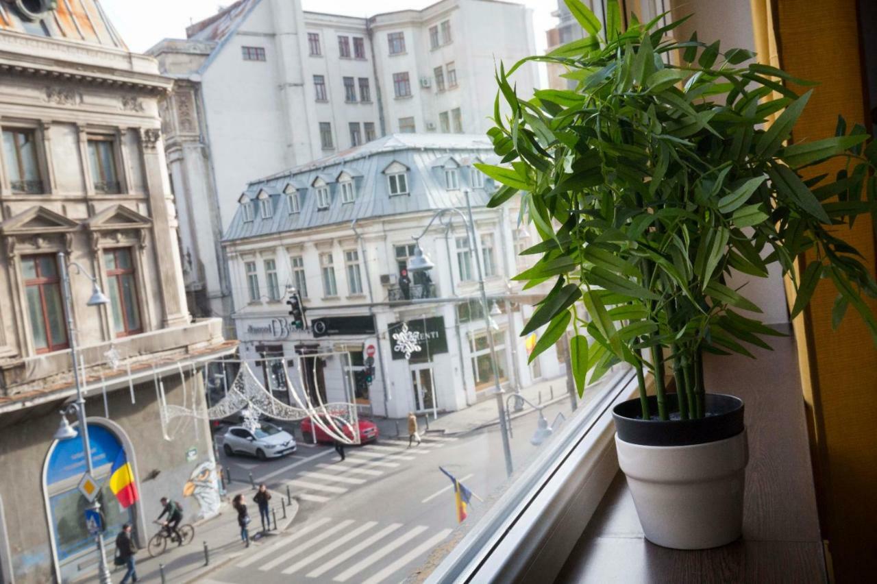 Ideal Apartment Bucureşti Eksteriør bilde